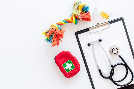 pets cure with stethoscope for treatment set on white table background top view mock upの写真素材