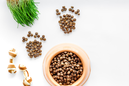 orange plastic bowl full and overflowing with dry pet - dog food bits and paw prints on white table background top view mock-upの写真素材