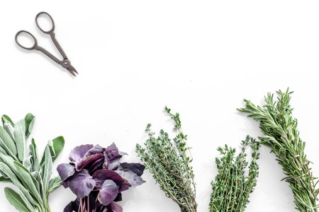 making spices with fresh herbs and greenery for cooking on white kitchen table background top view mockupの写真素材