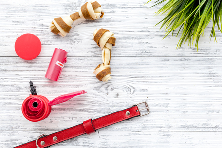 care about pet with collar and red grooming equipment on white wooden background top view mockupの写真素材