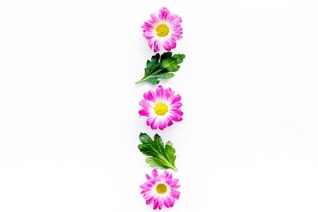 Floral pattern with pink flowers and green leaves on white background top view.の写真素材
