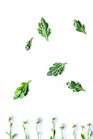 Floral pattern. Buds and leaves on white background top view.の写真素材