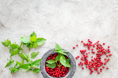Food set with various herbs and berries for making spices and mortar on stone background top view mockupの写真素材