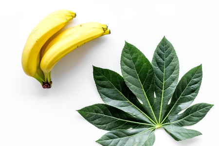 Tropical fruits background. Bananas and exotic palm leaf on white top viewの写真素材