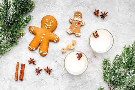 Merry christmas in winter evening with alcohol drink. Eggnog with gingerbread cookie, cinnamon and spruce branch on stone desk background top view copyspaceの写真素材