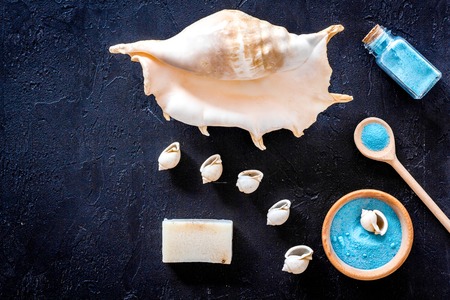 Sea salt from dead sea and shell in cosmetics set for spa on dark table background top view copyspaceの写真素材