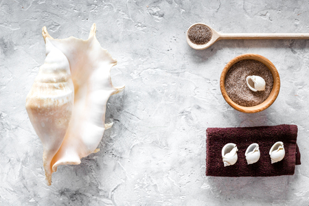 Sea salt from dead sea and shell in cosmetics set for spa on gray background top viewの写真素材