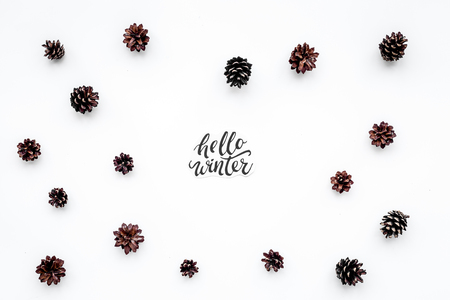 Hello Winter hand lettering. Winter pattern pinecones on white background top viewの写真素材