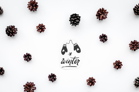 Winter hand lettering and painted mittens. Winter pattern with pinecones on white background top viewの写真素材
