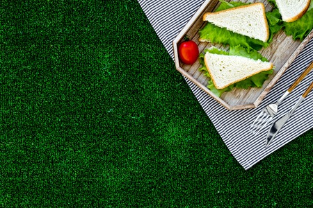 Sandwiches with lettuce for picnic on tablecloth on green grass background top view copyspaceの写真素材