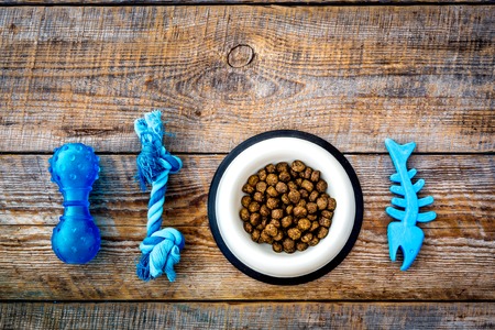 Concept pet care, playing and training. Toys, accessories and feed on grey background top viewの写真素材