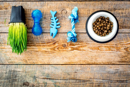 Toys for cat near dry food and grass in pot on wooden background top view copyspaceの写真素材