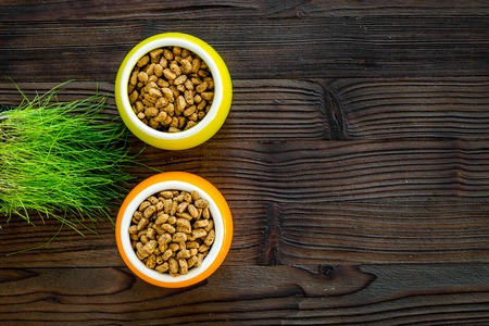 Dry pet food in bowls on dark wooden background top view.の写真素材