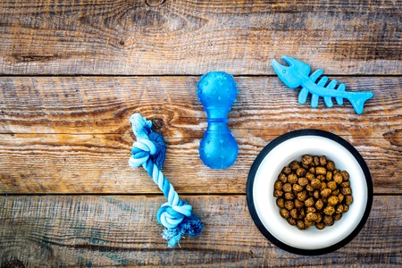 Concept pet care, playing and training. Toys, accessories and feed on grey background top view.の写真素材