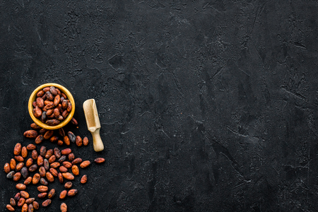 Roasted cocoa beans on black background top view copy space. Raw material for cocoa powder. African or Latin American productの写真素材