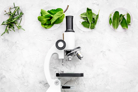 Food analysis. Pesticides free vegetables. Herbs rosemary, mint near microscope on grey background top view copy spaceの写真素材