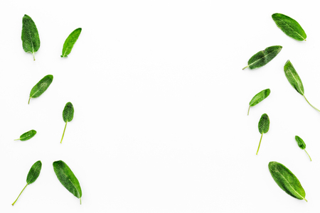 Herbal medicine. Healing herbs on white background top view.の写真素材