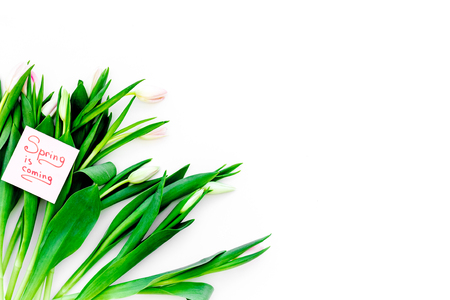 Spring mood. Tulips near Spring is coming hand lettering on white background top view.の写真素材