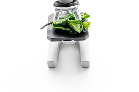 Analysing food concept. Healthy products. Leaves under microscope on white background top view copy spaceの写真素材