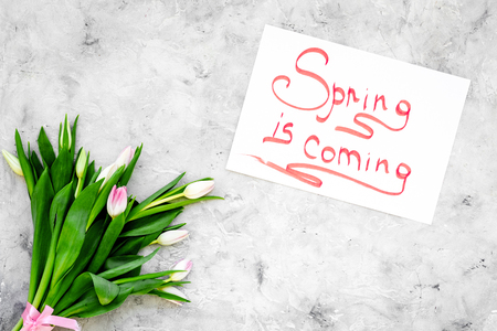 Spring is coming hand lettering surrounded by delicate tulips on grey background top view.の写真素材