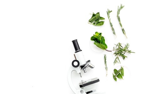 Food analysis. Pesticides free vegetables. Herbs rosemary, mint near microscope on white background top view copy spaceの写真素材