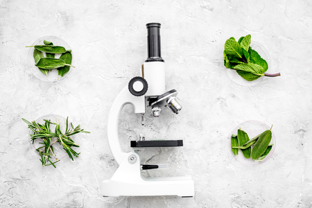 Analysing food concept. Healthy products. Herbs rosemary, mint near microscope on grey background top viewの写真素材