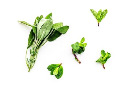 Alternative medicine. Phytotheraphy. Fresh herbs on white background top view.