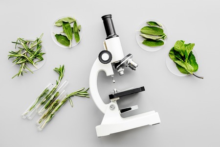 Safety food. Laboratory for food analysis. Greens near microscope on grey background top view.