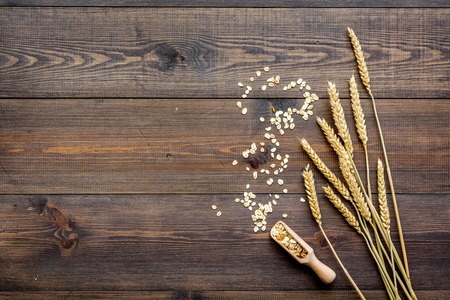 Cereals concept. Oatmeal scattered near sprigs of wheat on dark wooden background top view.の写真素材