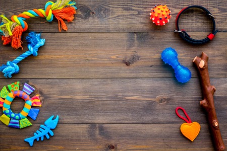 Pet accessories. Toys near collar on dark wooden background top view.の写真素材