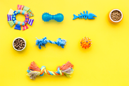 Acessories for the grooming of the dog. Food and toys for dogs. Yellow background top view mock-upの写真素材