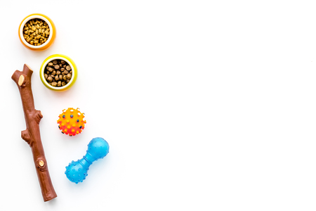 grooming equipment with brushes and toys for care and training pet white background top viewの写真素材