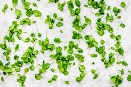 Greeny cocktail ingredients. Fitness smoothie. Celeriac on stone background top view space for textの写真素材