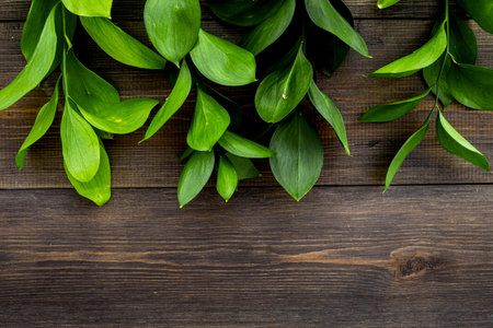 Summer concept. Bright greenery. Sprig with green foliage on dark wooden top view space for text