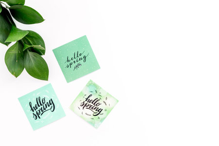 Spring background. Hand lettering hello spring near young green branch on white table top view.