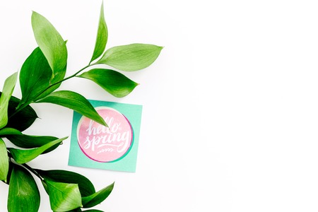 Spring lettering, spring motto. Lettering hello spring on stickers among green foliage on white table top view copy spaceの写真素材