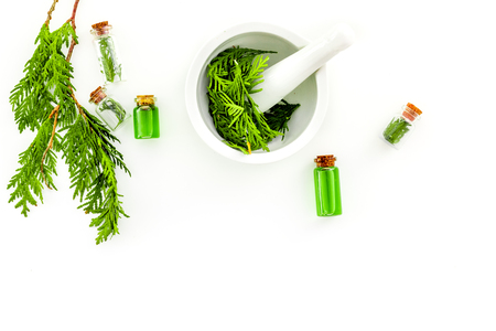 Harvest juniper as medical herbs. Make juniper oil. Juniper sprigs in mortar on white background top view.の写真素材