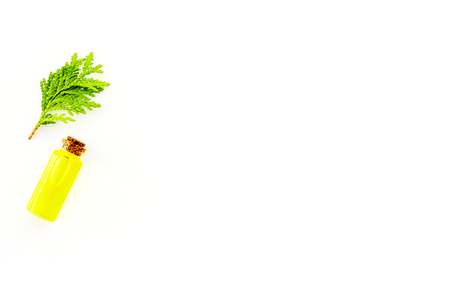 Healing juniper oil concept. Aromatherapy. Bottles and sprigs on white background top view copy spaceの写真素材