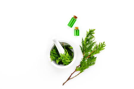 Harvest juniper as medical herbs. Make juniper oil. Juniper sprigs in mortar on white background top view copy spaceの写真素材