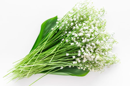 Small and fragrant spring flowers. Bouquet of lily of the valley flowers on white background top...