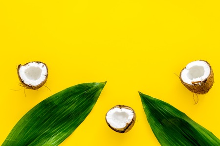 Tropical composition with coconut. Whole coconuts and coconut cut in half near plum leaves on yellow background top view.の写真素材