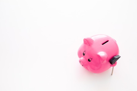 Piggy bank. Moneybox in shape of pig near hammer on white background copy spaceの写真素材
