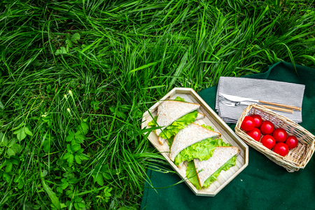 Summertime picnic concept. Light healthy food on green grass. top view.の写真素材