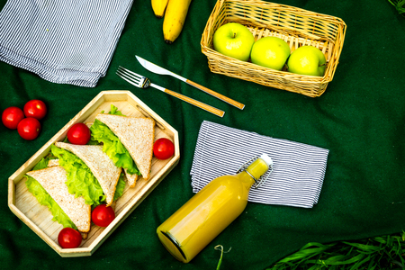 Food for picnic on tablecloth on green grass. Meal outdoor concept. Sandwiches, fruits, drinks top view copy spaceの写真素材
