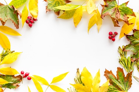 Frame of autumn leaves. Yellow and green leaves on the borders on white background top view copy spaceの写真素材