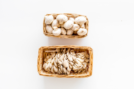 Collect mushroom concept. Champignon and oyster on white background top view copy spaceの写真素材