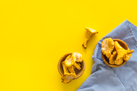 Chanterelle mushroom. Fresh raw chanterelles on yellow background top view copy spaceの写真素材