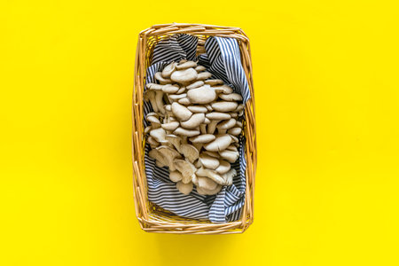 Oyster mushroom. Fresh raw veshenka in basket on yellow background top view copy space