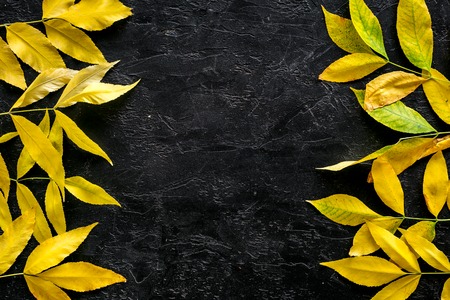 Yellow autumn leaves pattern on black background top view.の写真素材