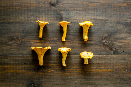 Chanterelle mushroom. Fresh raw chanterelles on dark wooden background top view.の写真素材